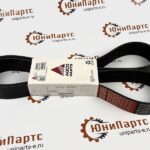 Ремень генератора V685121845 (V836859262)